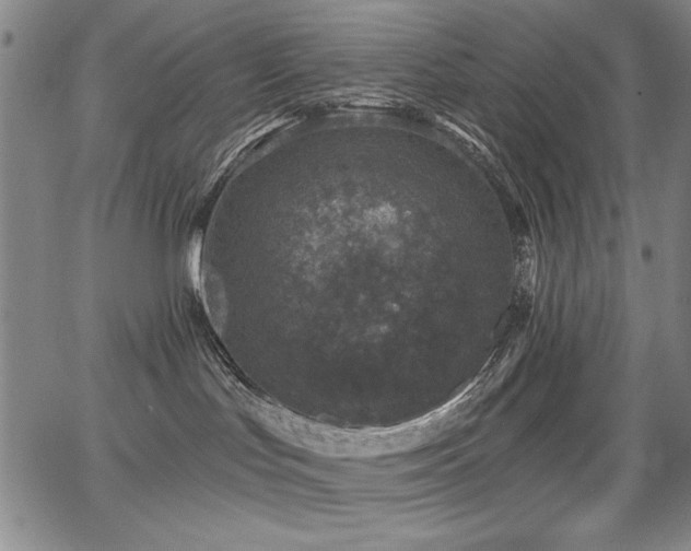 X0000068300047200604211149