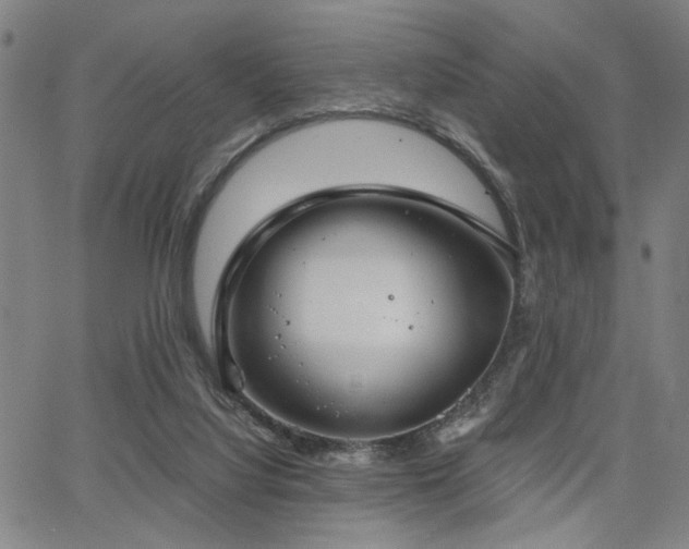 X0000068300068200604211149
