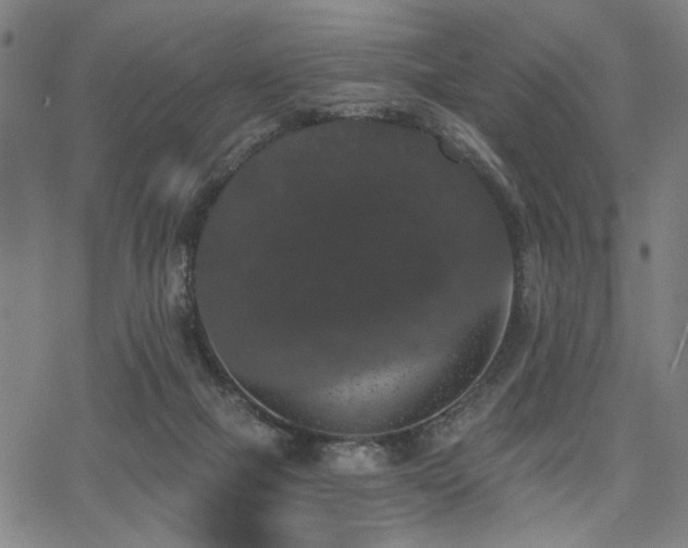 X0000068300073200604211149