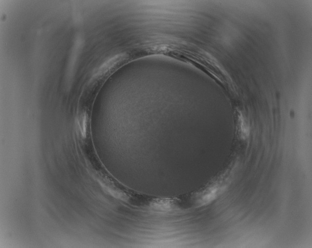 X0000068300076200604211149