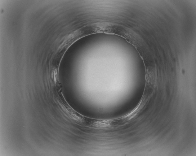 X0000068300094200604211149