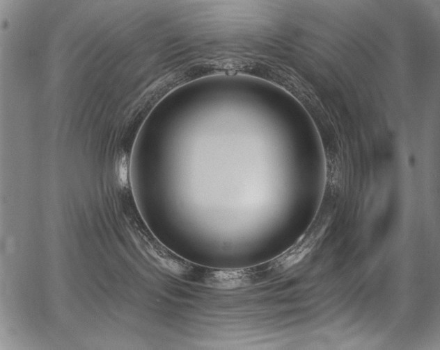 X0000068300095200604211149