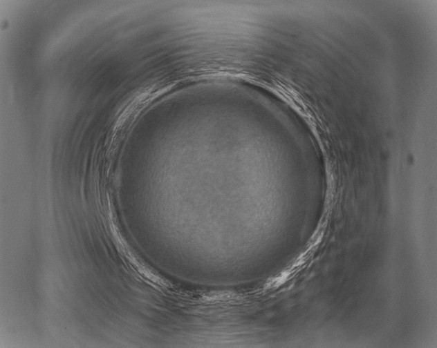 X0000068300097200604211148