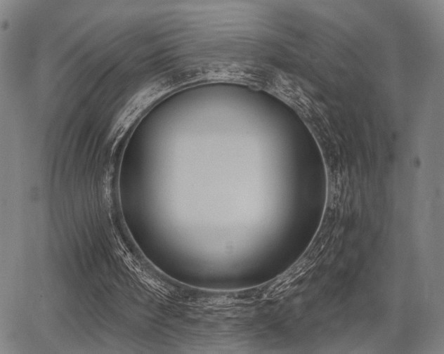 X0000068300098200604211148