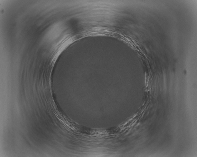 X0000068300099200604211148
