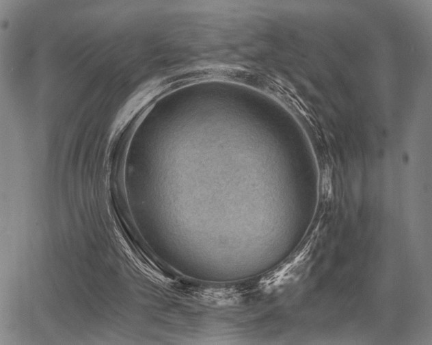 X0000068300101200604211148