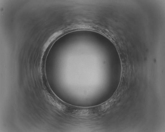 X0000068300104200604211148