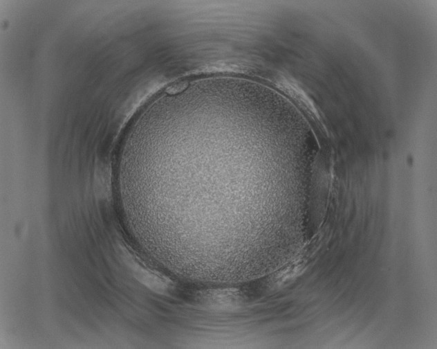 X0000068300108200604211148