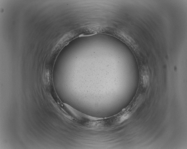 X0000068300117200604211148
