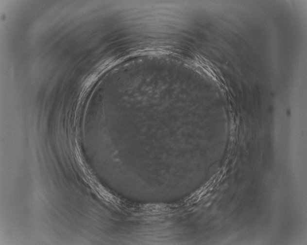X0000068300145200604211147