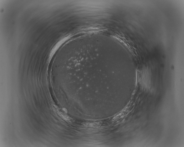 X0000068300147200604211147