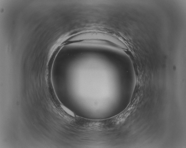X0000068300152200604211147