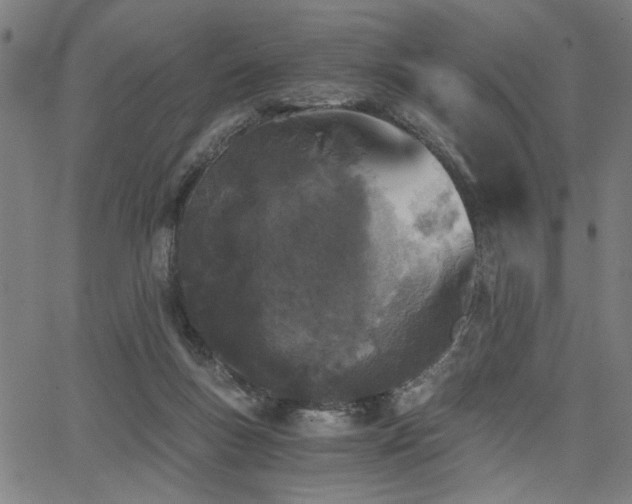 X0000068300167200604211147