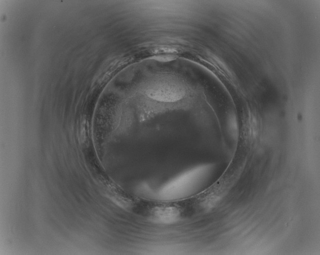 X0000068300169200604211147