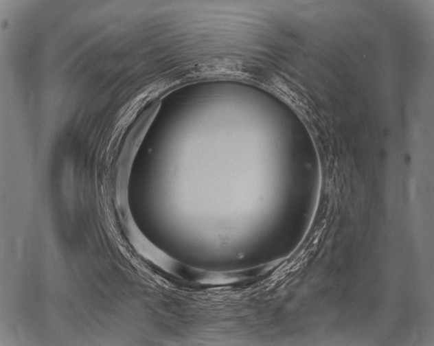 X0000068300193200604211147