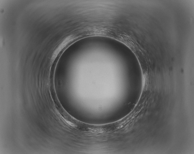 X0000068300195200604211147