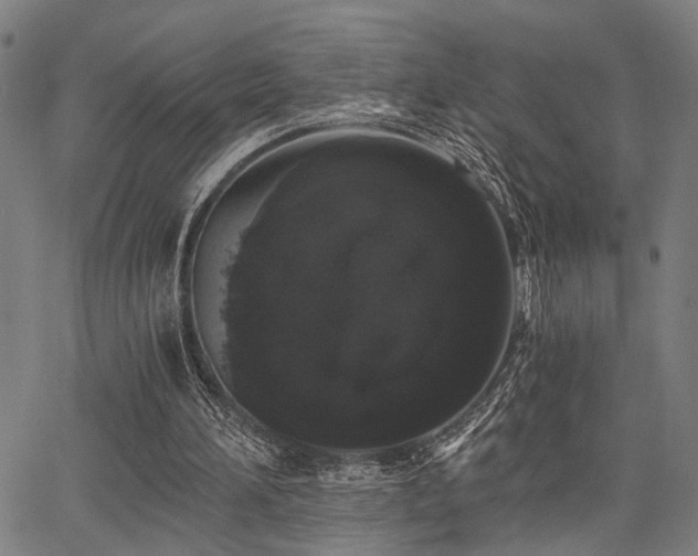 X0000068300196200604211147