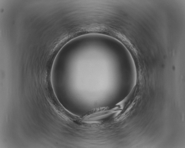 X0000068300201200604211147