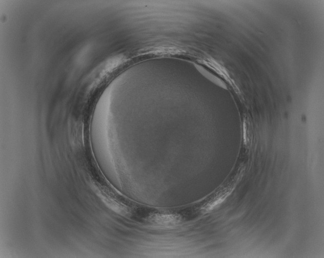 X0000068300205200604211147