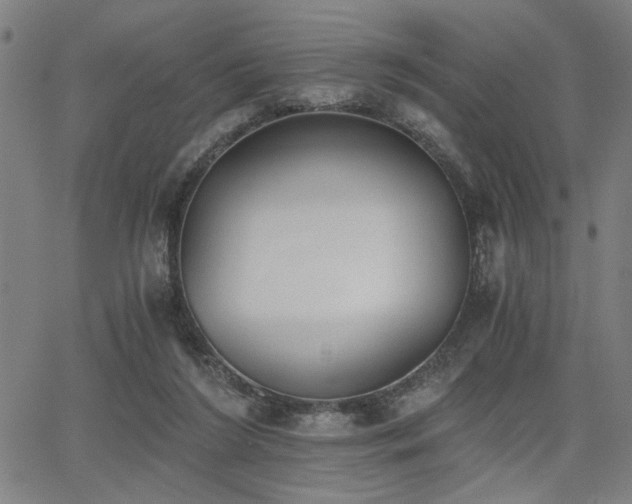 X0000068300212200604211147
