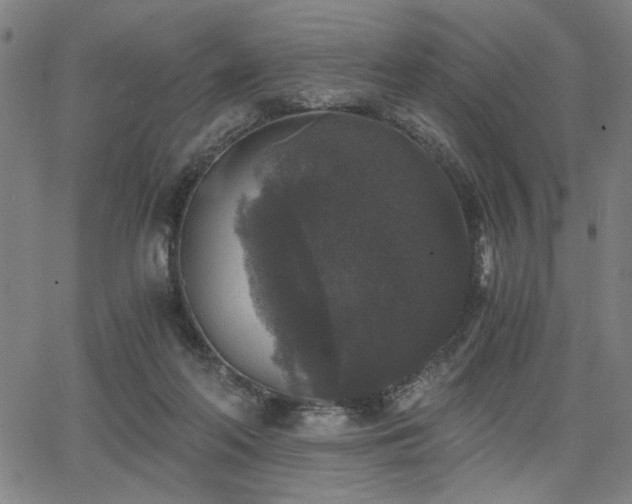 X0000068300214200604211146