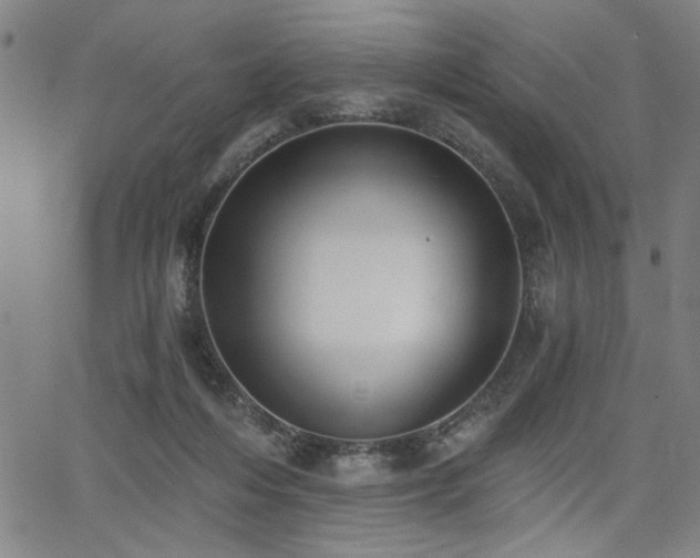 X0000068300216200604211146