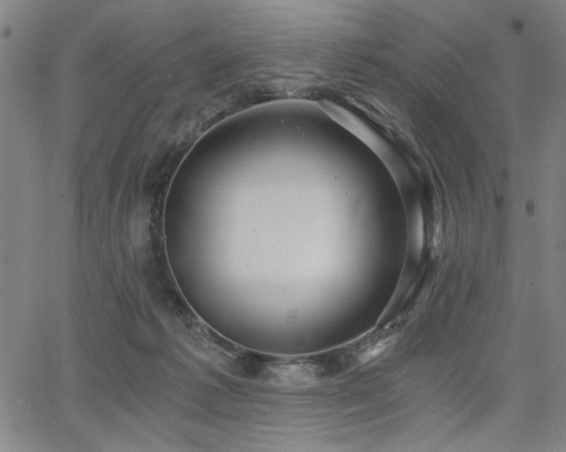 X0000068300221200604211146