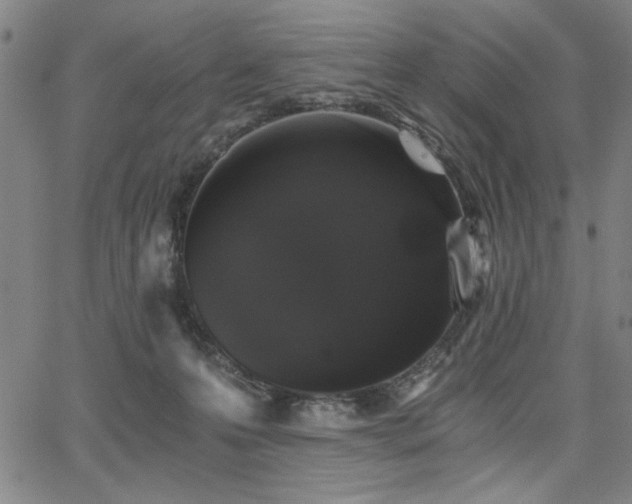 X0000068300223200604211146