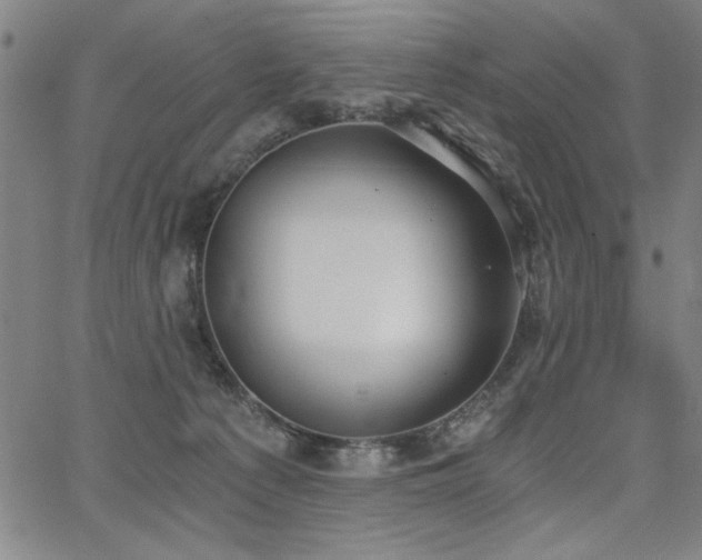 X0000068300225200604211146