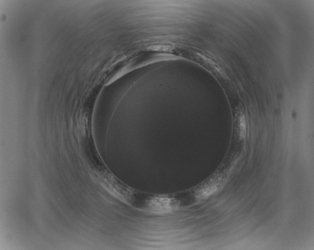 X0000068300227200604211146