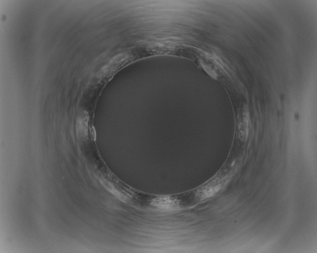 X0000068300231200604211146