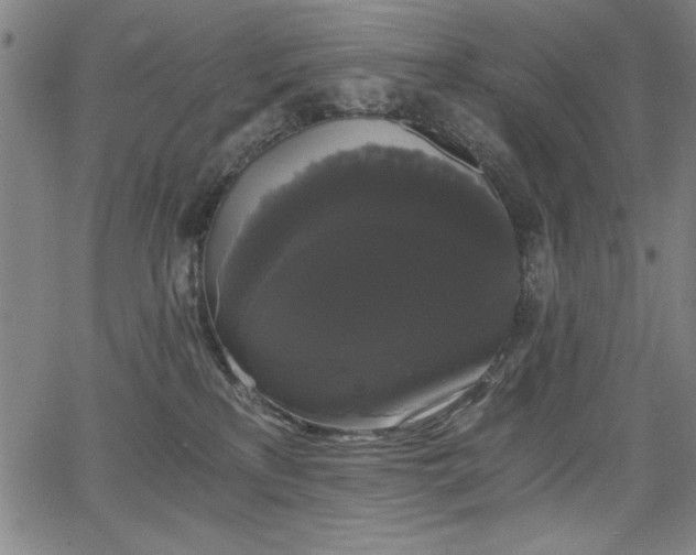 X0000068300233200604211146