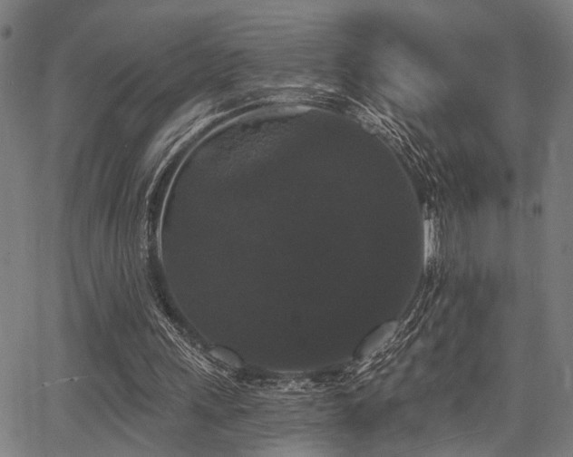 X0000068300243200604211145
