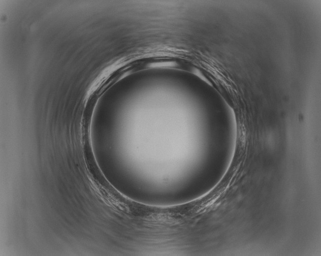 X0000068300244200604211145