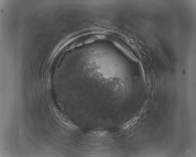 X0000068300247200604211145