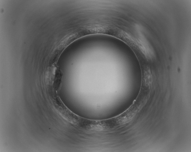 X0000068300259200604211145