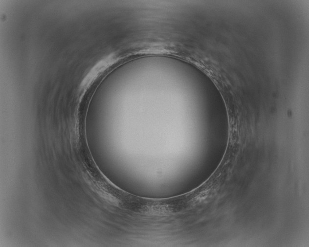 X0000068300296200604211145