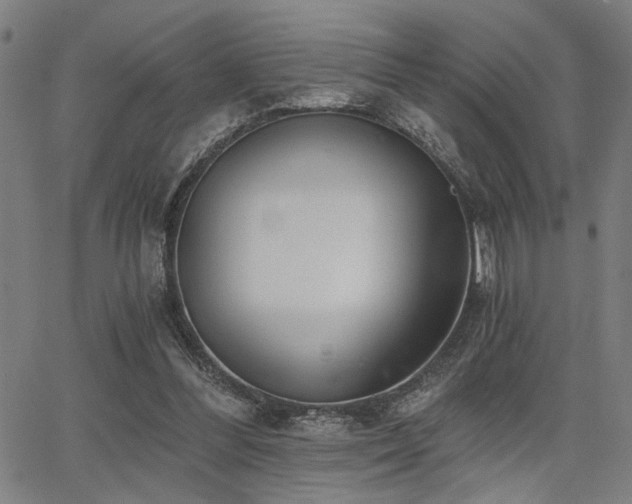 X0000068300300200604211145