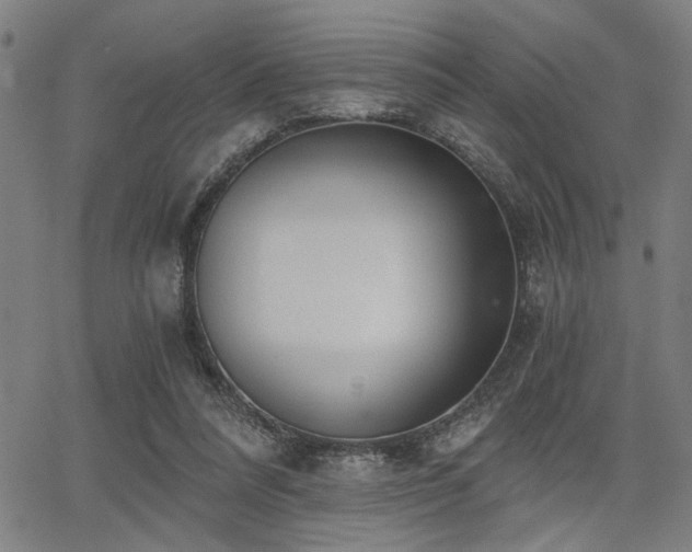 X0000068300304200604211145
