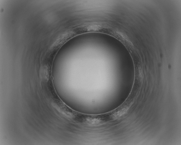 X0000068300311200604211145
