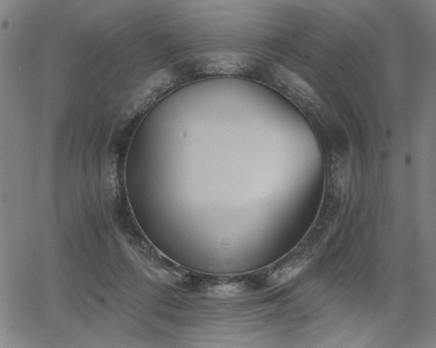 X0000068300312200604211145
