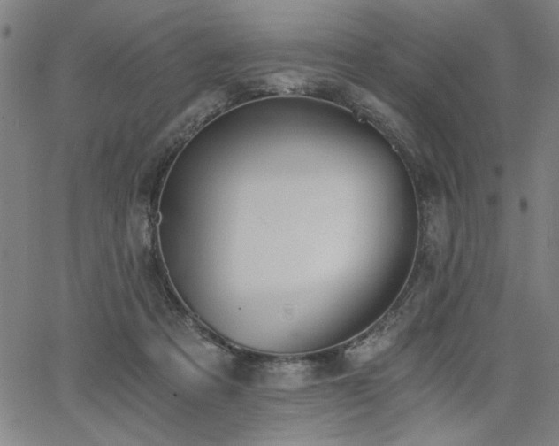 X0000068300313200604211145