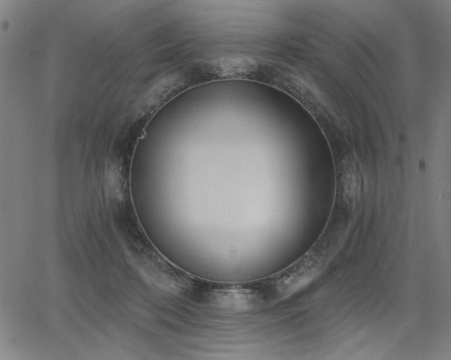 X0000068300316200604211145