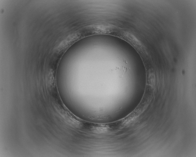 X0000068300318200604211145