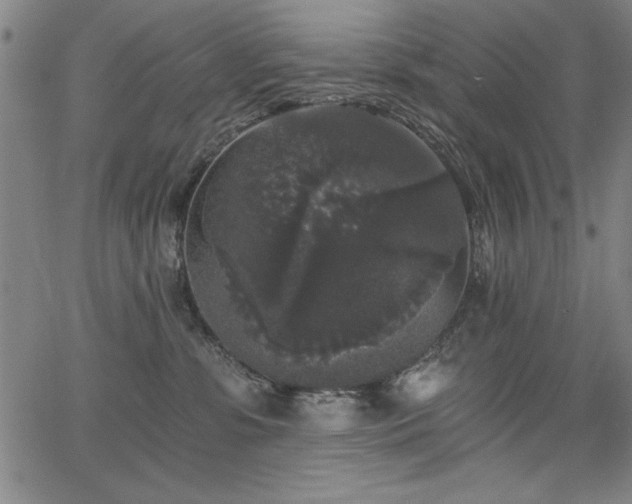 X0000068300331200604211144