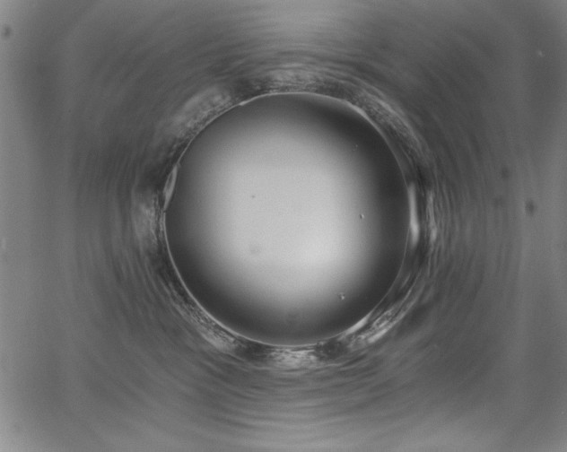 X0000068300333200604211144