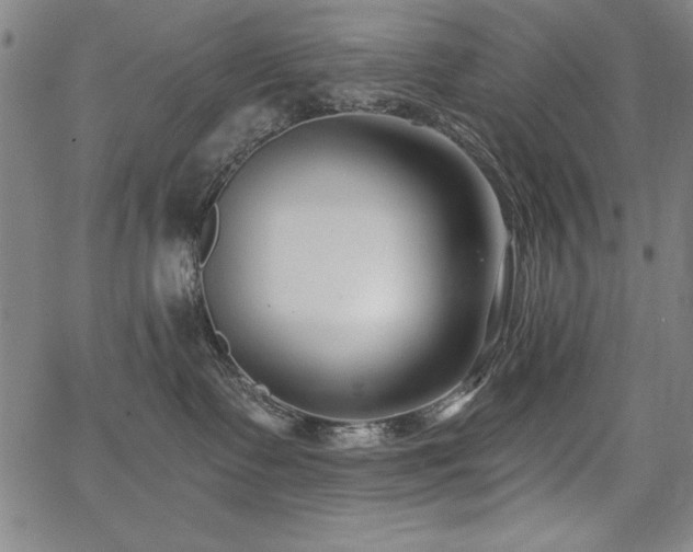 X0000068300335200604211144