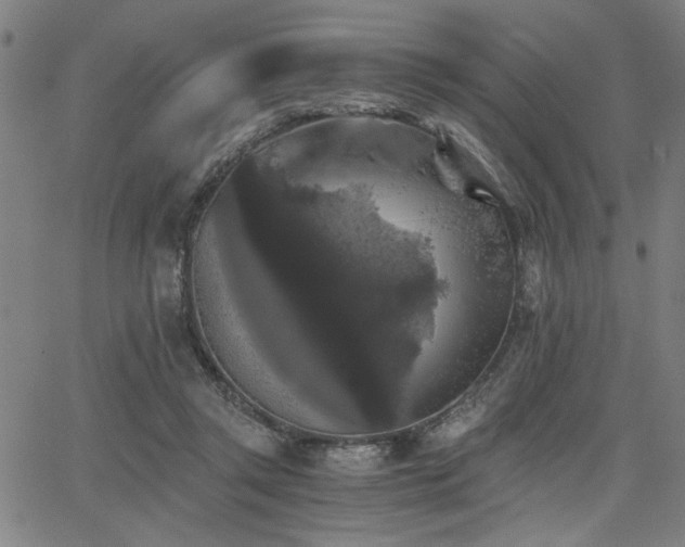 X0000068300357200604211144