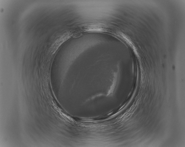 X0000068300385200604211144