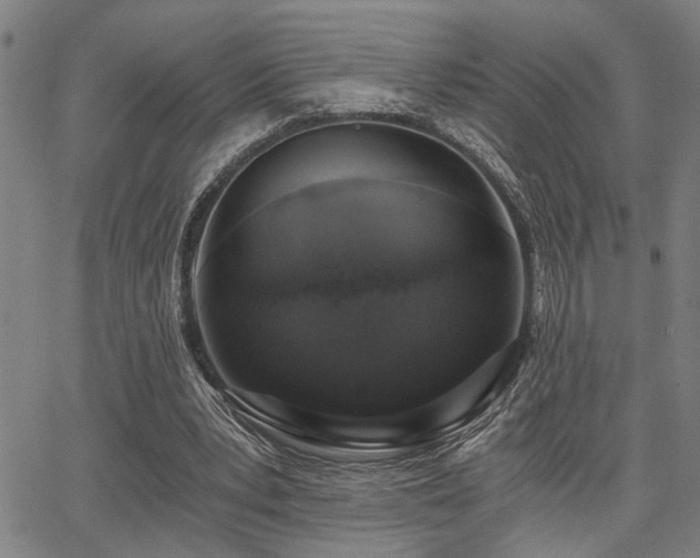 X0000068300391200604211143